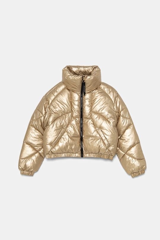 Зимняя куртка PINKO UP F4PIJGPF005 золотистый